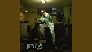 DONDADA BOSS