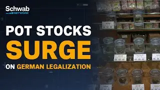 Pot Stocks: The Mary Jane Trade Is Lit