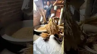DIY traditional rice hulling machine: A simple and effective tool for removing rice husks at home