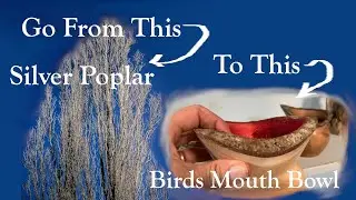 Turning a Silver Poplar Birds Mouth Bowl
