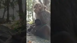 Mom take care baby