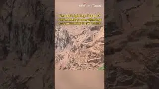 Unsusal sighting: Troop of wild monkeys seen climbing and swimming in SW China