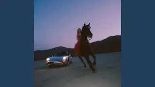 You Won't Come Back