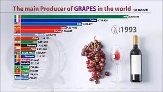 Top Countries in Grapes Farming (1960-2018) | FAO