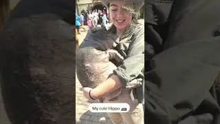 my cute hippo 🦛