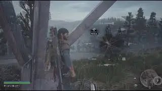 Days Gone Rippers & Marauders
