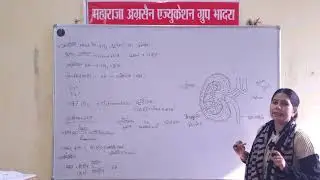 B.Sc B.Ed 2nd year Zoology Topic Excretion  system 30.01.2026