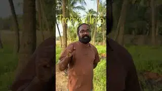 Container / Drum farming നമുക്ക് അനുയോജ്യം ആണോ ?