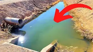 Exploring Urban Arizona Ditch Fishing (Underwater Footage)