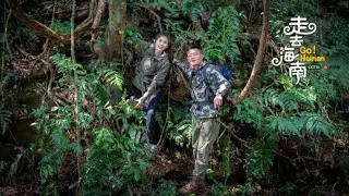 Live: Go, Hainan! How to survive in a tropical rain forest? 雨林求生之海南百花岭