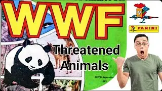 WWF Threatened animals 1990s animals of the world  retro panini sticker album #vintagebooks #wwf