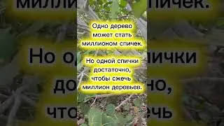 #мотивацияивдохновение #секретыгармонии #Инес @HarmonySecretsForYou  #мудрыемысли #мудрость #длявас