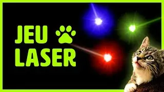 Jeu pour chat sur &eacute;cran : LE LASER ! Vid&eacute;o pour amuser chats et chaton