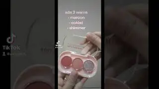 Review Pinkflash Eyeshadow