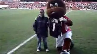 Toby Tyke BARNSLEY F.C THE TYKES UP THE REDS