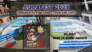 Kadayawan flowerhorn showdown 2023 | Aquafest 2023