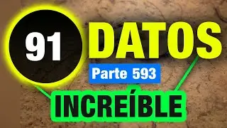 91 Datos Aleatorios