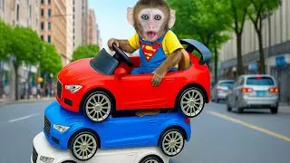 Baby Monkey Fufu plays with triple toy cars on the city street! | Monkey Fufu