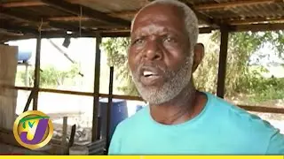 Salt Pond Farmers still Feeling the Impact of Weather System | TVJ News