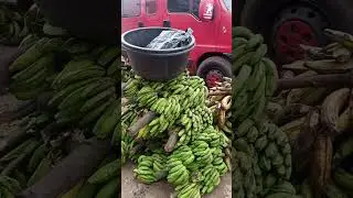 the cheapest fruit market in abuja nigeria