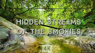 HIDDEN TRANQUIL STREAMS OF THE SMOKIES 4K HDR
