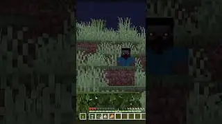 The Anomaly Was Steve&hellip; Then It Became Herobrine 👁️💀 | Minecraft Horror Short #minecraftshorts