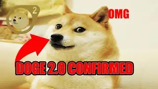 DOGE 2.0