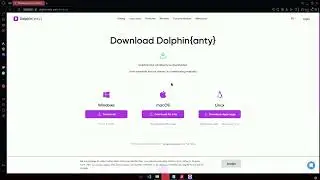 Como configurar o DOLPHIN ANTY + Onde encontrar Proxy BARATA! (ATUALIZADO - 2025)