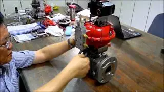 Semi-Direct Mount