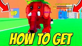 How To GET DIVINES FAST In Escape Tsunami For Brainrots! Roblox
