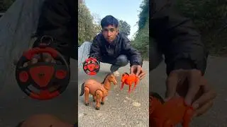 Rc Natun Ekta mini horse and big Ekte horse Unboxing