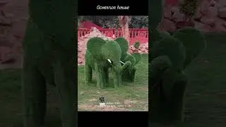 governor house 🏠