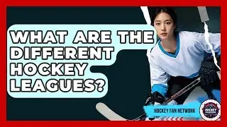 What Are The Different Hockey Leagues? - Hockey Fan Network