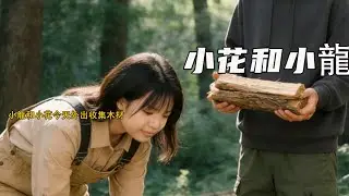 小龍和小花今天外出收集木材《小花和小龍》683