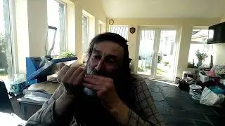 Chiquitita Tremolo Harmonica