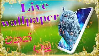 How To Create Your Own Custom Live Wallpaper 2020 - Android Smartphone Tutoriale / DV ACADEMY