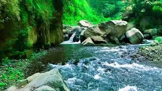 Deep River Flow ASMR 12H &ndash; Binaural Ambient Sound for Anxiety Meditation & Work