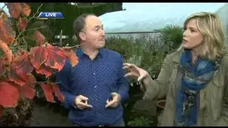 How to Prepare your Home and Garden for Autumn