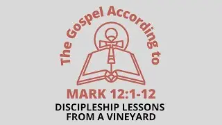 Mark 12:1-12 | Discipleship Lessons from the Vineyard