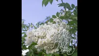 Ephemeral Harms - Swords & Hills