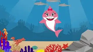 Baby shark Song