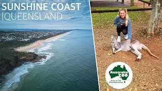 Moving to Australia Vlog Ep 5 | Sunshine Coast | Australia Zoo | Noosa