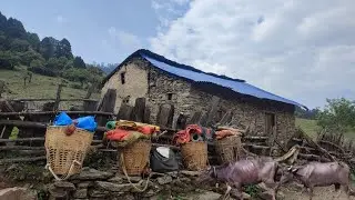 Nepali Mountain Village life| Real Remote Nepali Village lifestyle| Nepali Village life| AncientLife