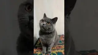 раньше я жила с мужчиной намного старше меня 🙃
