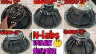 N-labs successful speaker model 12
