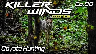 Охота на койотов || Подкаст Killerwinds
