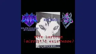 Safe Harbour (Corrupted Existence)
