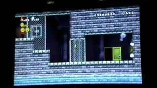 New Super Mario Bros. Wii Ep. 12 Plot Twist, anyone?