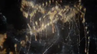 Spontaneous DNA, The Rapture, and The Rise to Fourth Density (HD)