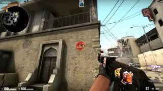 CS:GO SKINSHOWCASE - AK-47 Redline (FT)
